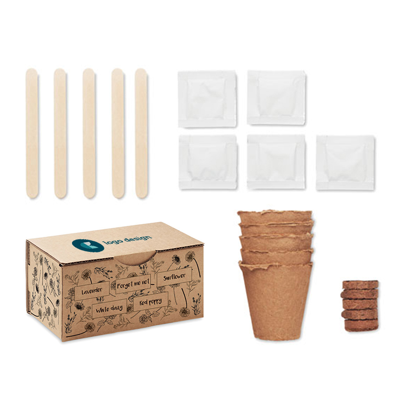 Flowers growing kit